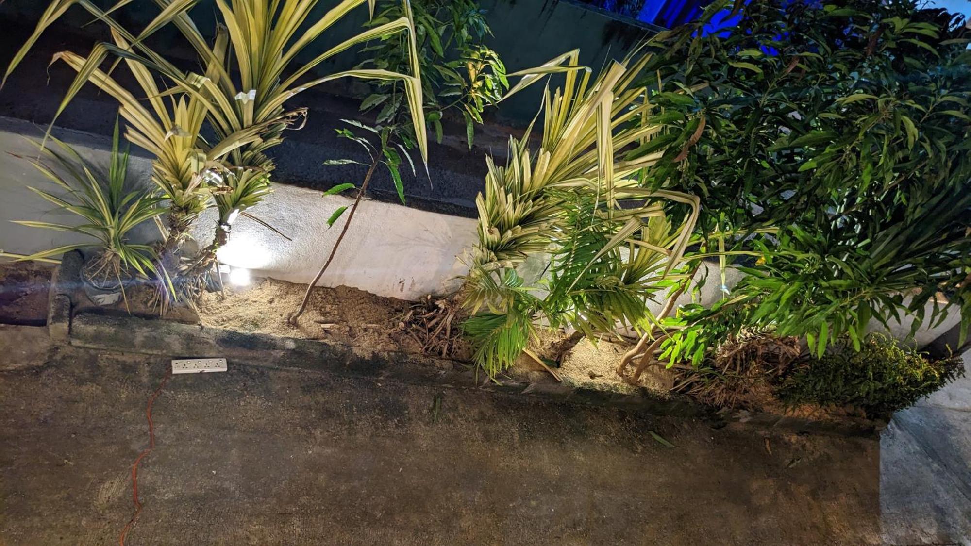 Hiriketiya Hideaway Hotel Dikwella Bagian luar foto