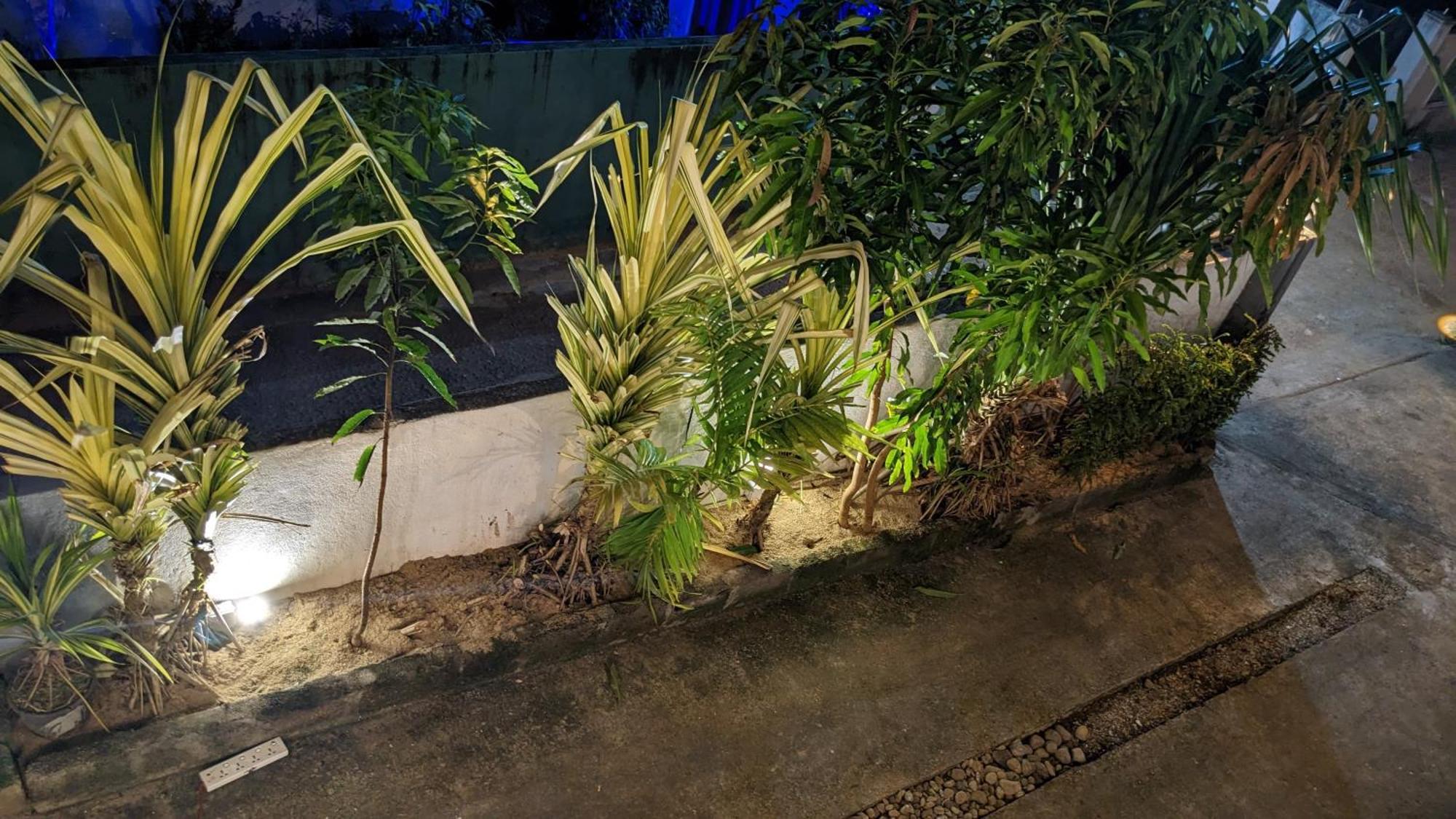 Hiriketiya Hideaway Hotel Dikwella Bagian luar foto